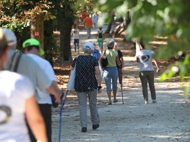 Mennyit kellene mozogni naponta? :: Fitness Akadémia